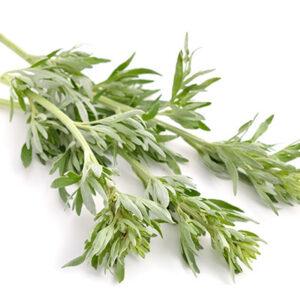 Wormwood-Herb