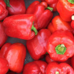 Red Pepper