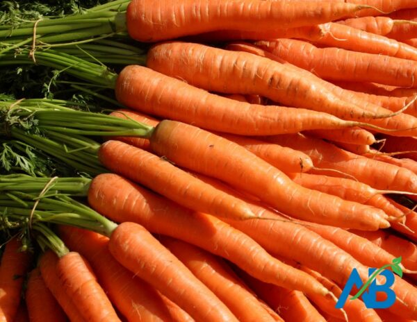 Carrots