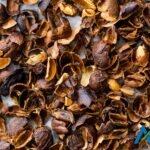 Cascara Bark