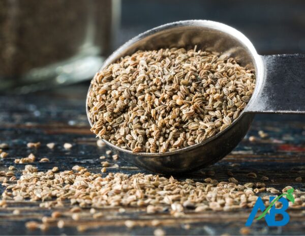 Celery Seed