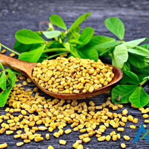 Fenugreek Seed