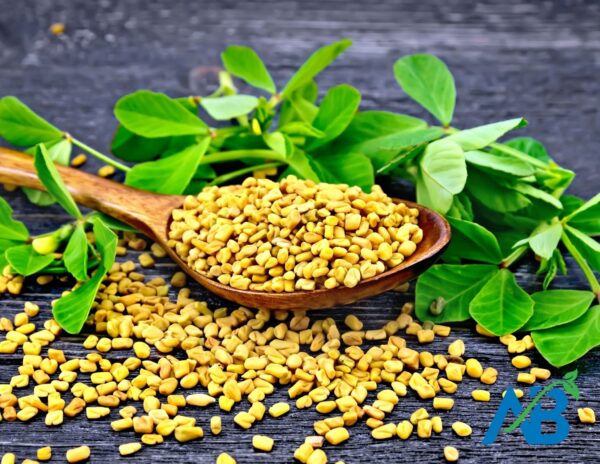 Fenugreek Seed